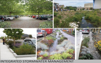 Sustainable Design